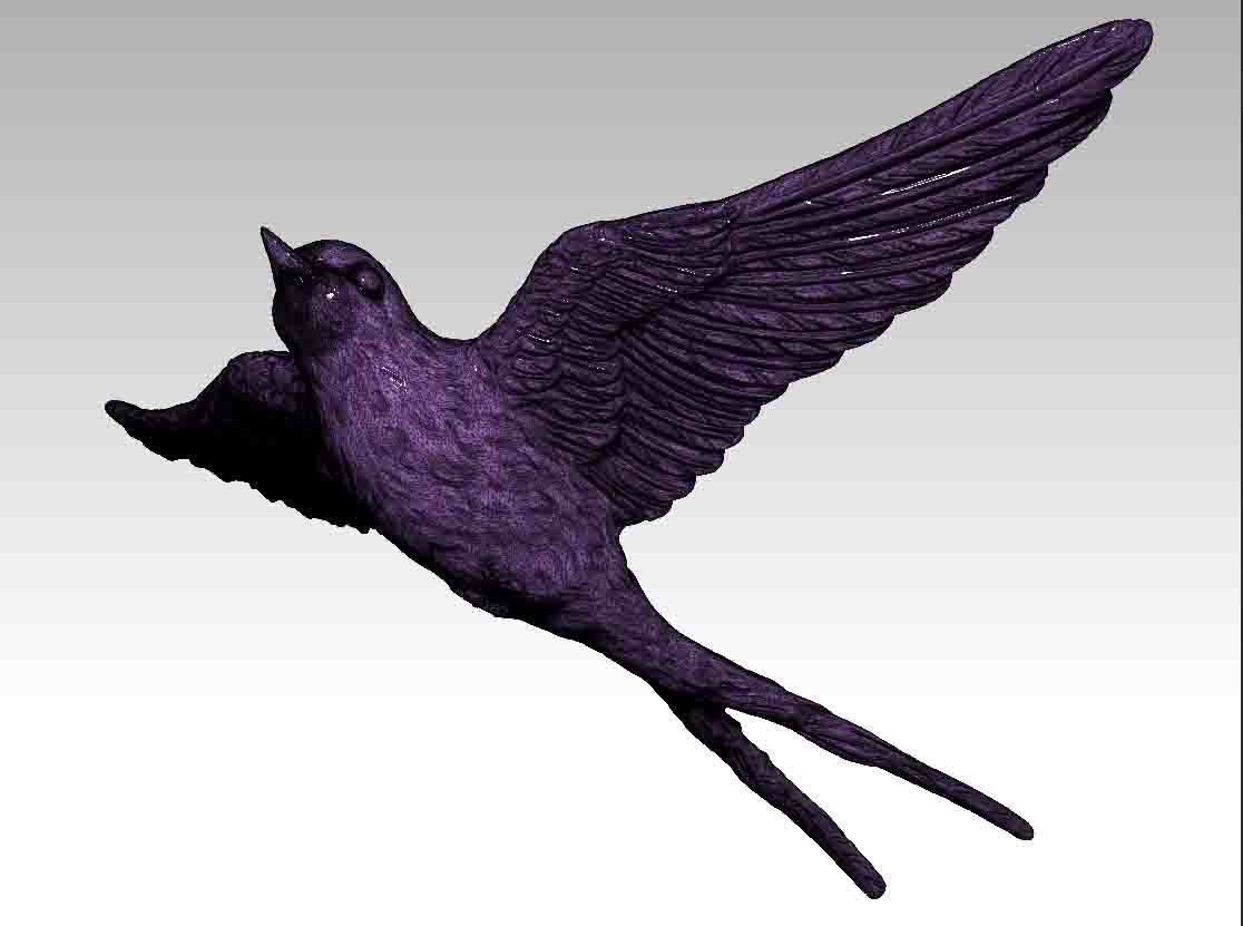 Swallow bird 3D print model_1