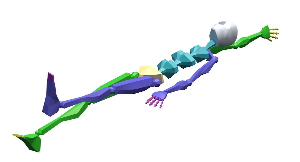 Female Swimming Back Style Low-poly 3D model_15