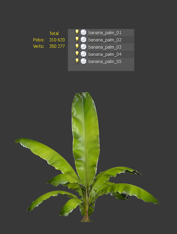 Banana palm tree Set of 5 models 3D model_12