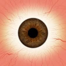 Toby the Robot Low-poly 3D model_5