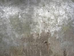 Toby the Robot Low-poly 3D model_8