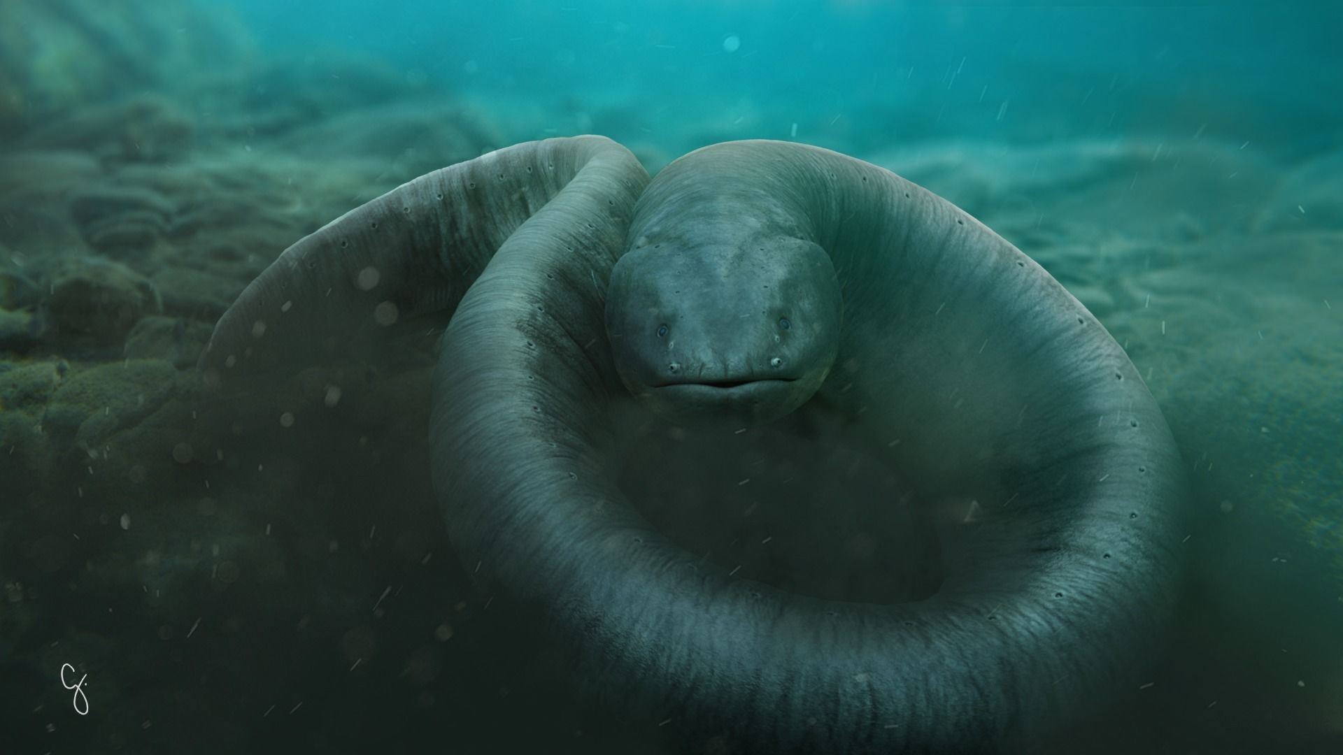 Electrophorus Electricus Static Low-poly 3D model_13