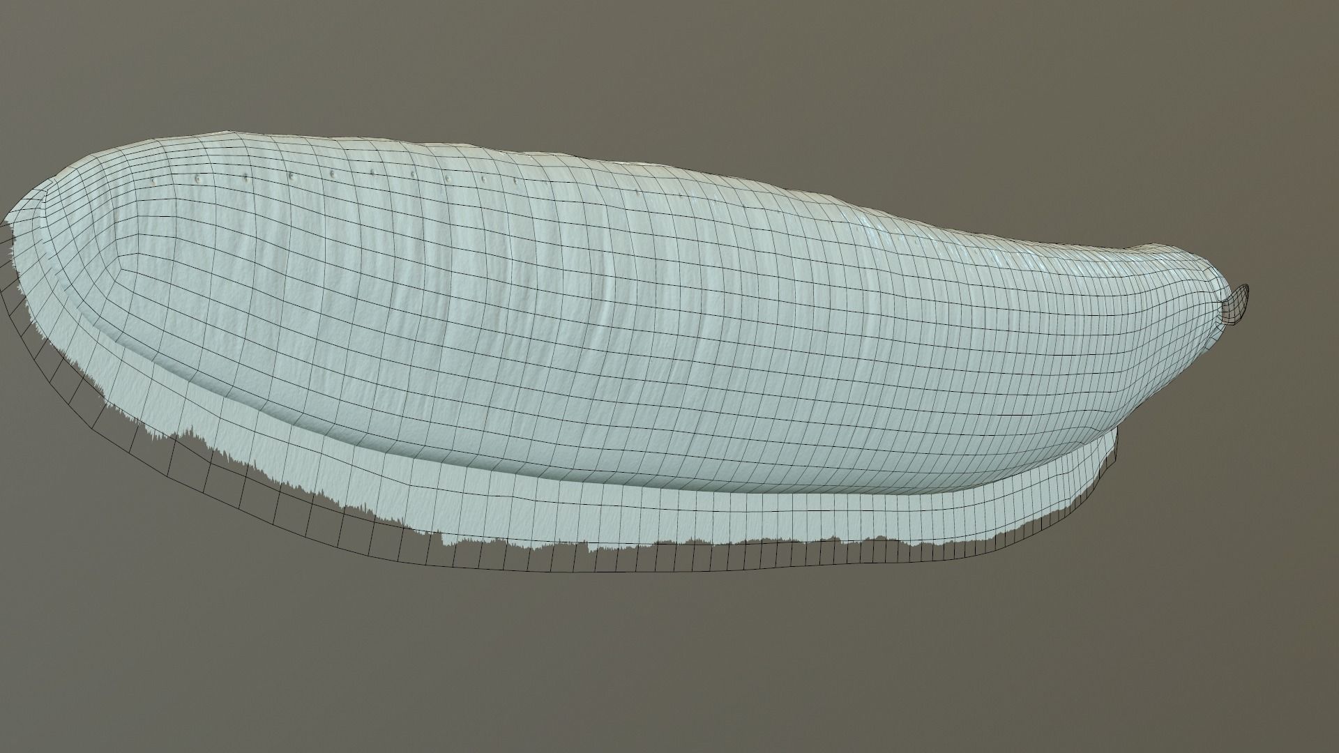 Electrophorus Electricus Static Low-poly 3D model_11