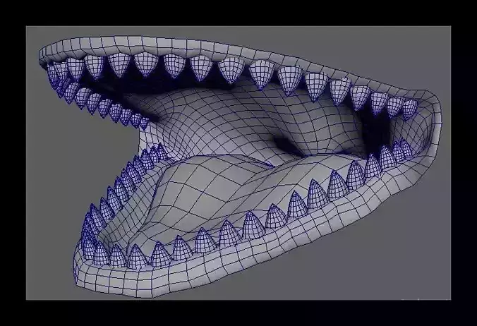 teeth 3d model for animal 3D model