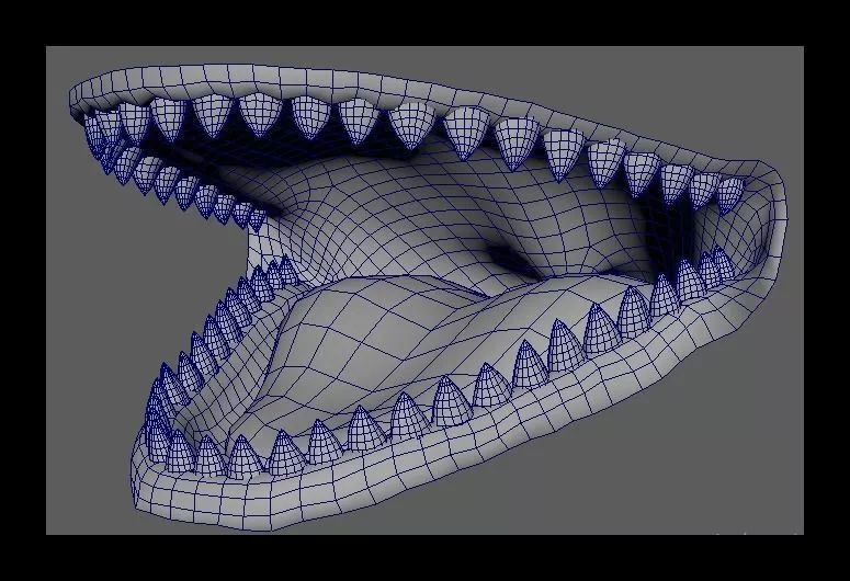 teeth 3d model for animal 3D model