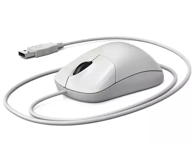 Computer Mouse with USB Plug