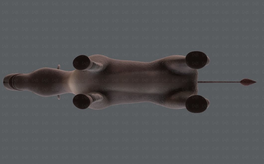 Donkey V01 Low-poly 3D model_35