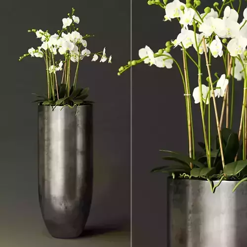 orchid metal vase with orchids in it