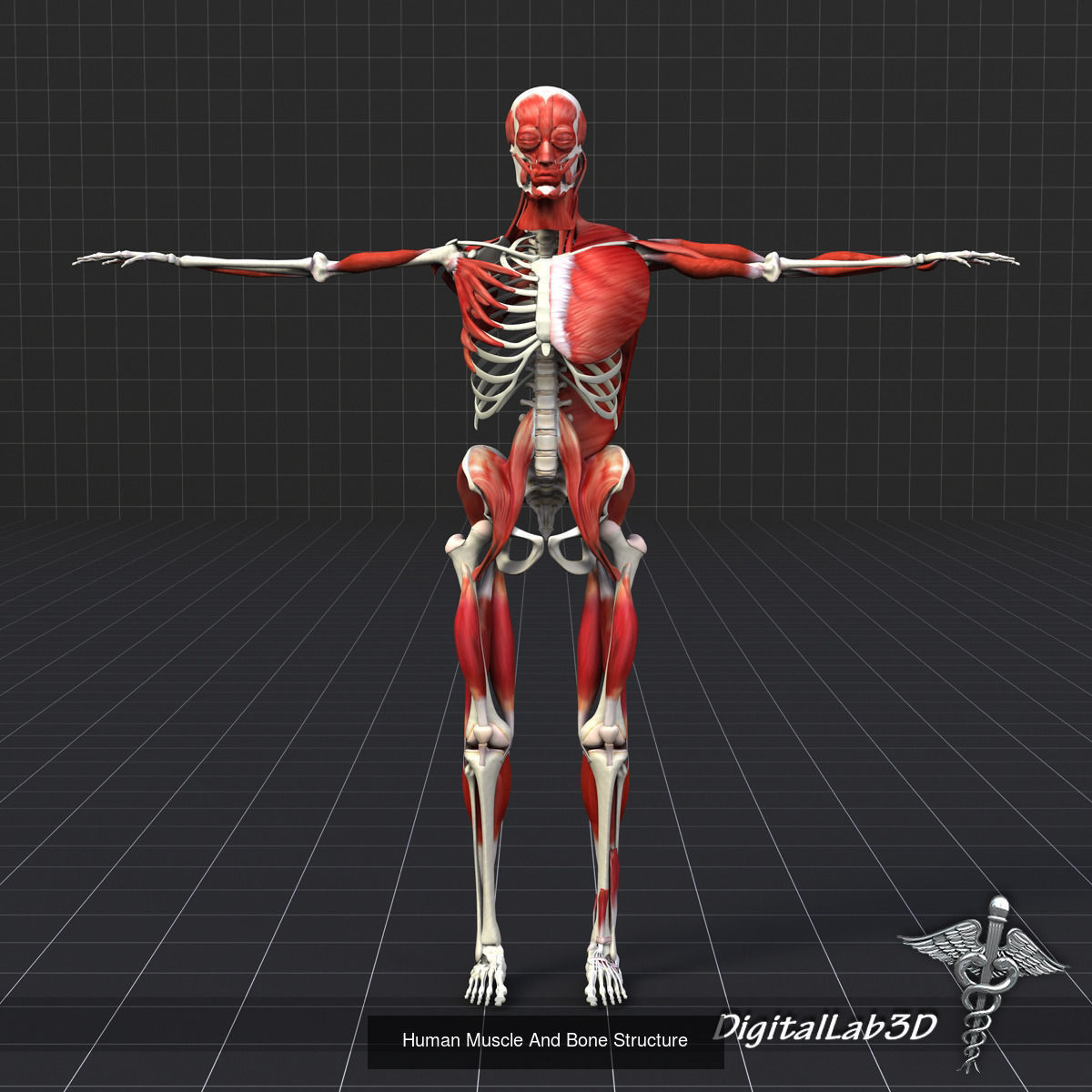 Complete Human Body Systems Collection _25