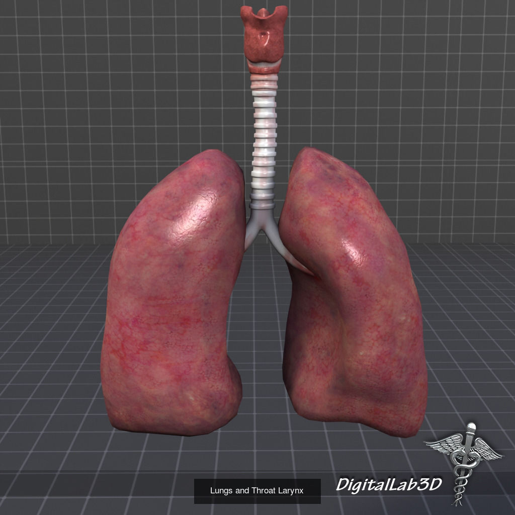 Complete Human Body Systems Collection _20