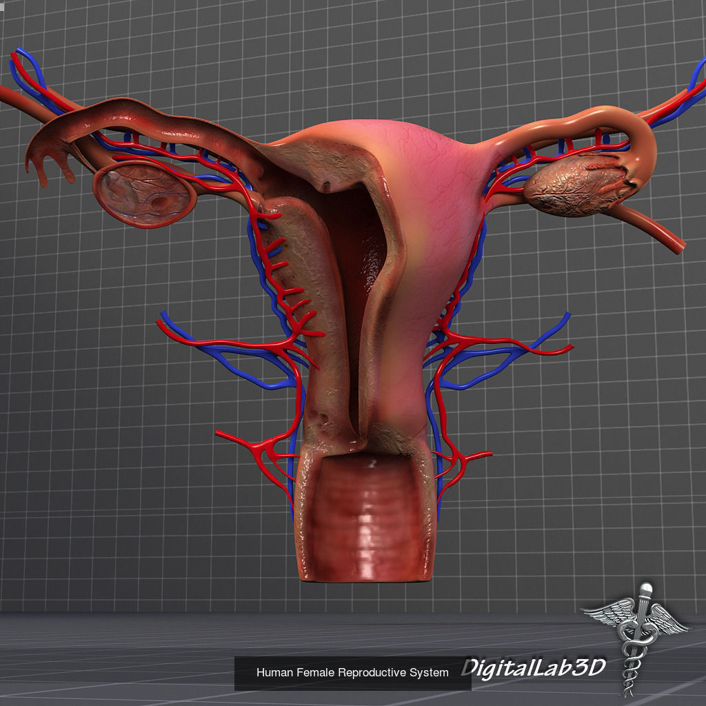 Complete Human Body Systems Collection _10