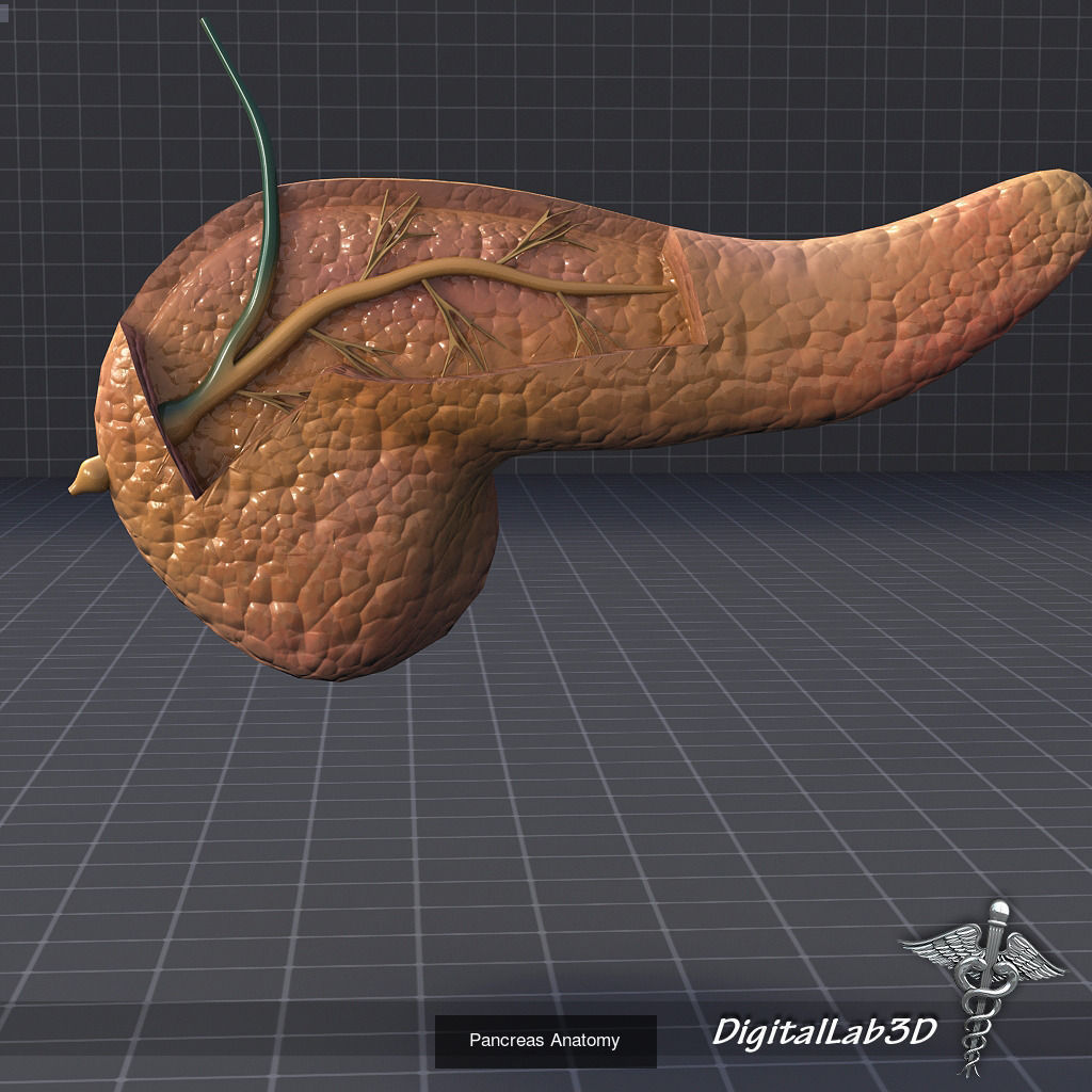 Complete Human Body Systems Collection _22