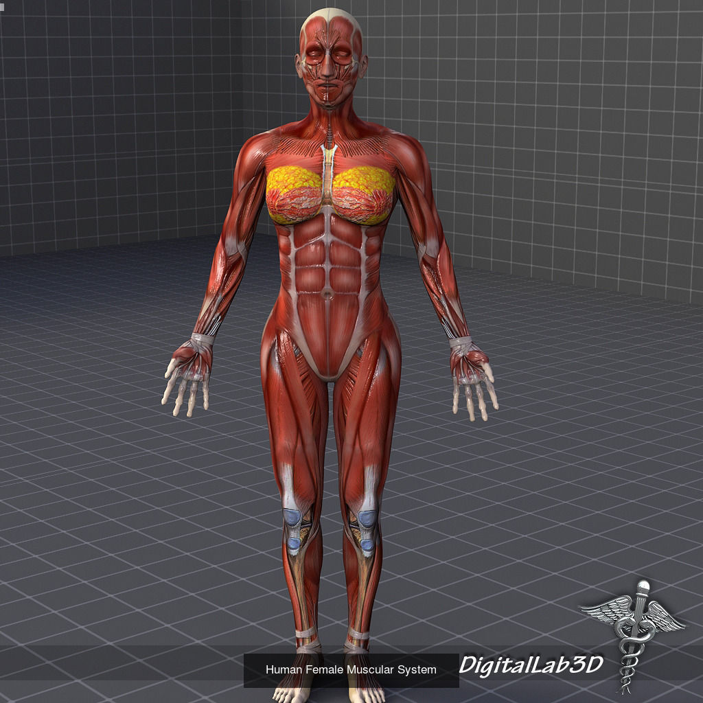 Complete Human Body Systems Collection _11