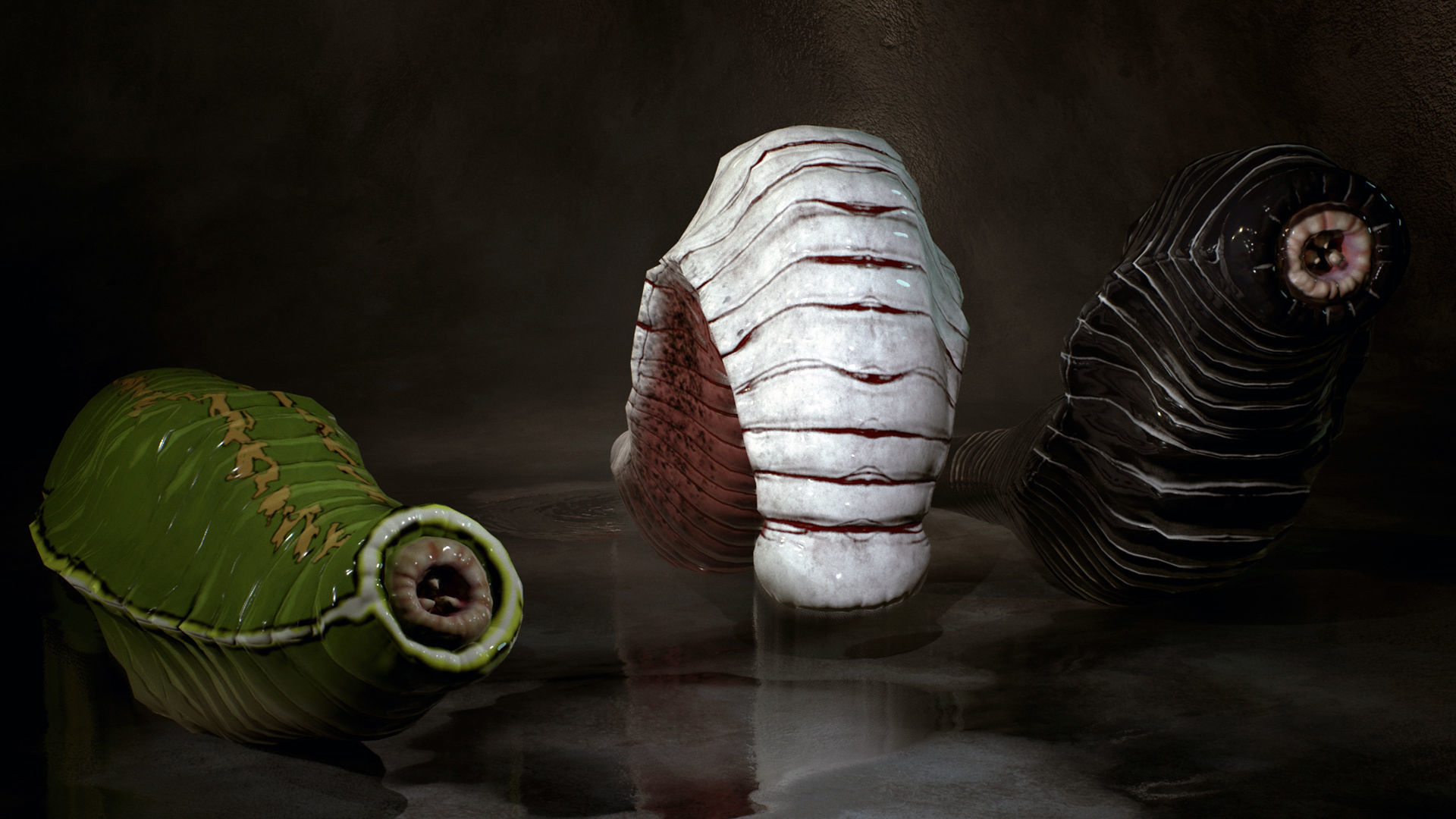 Heavy Leech Low-poly 3D model_5