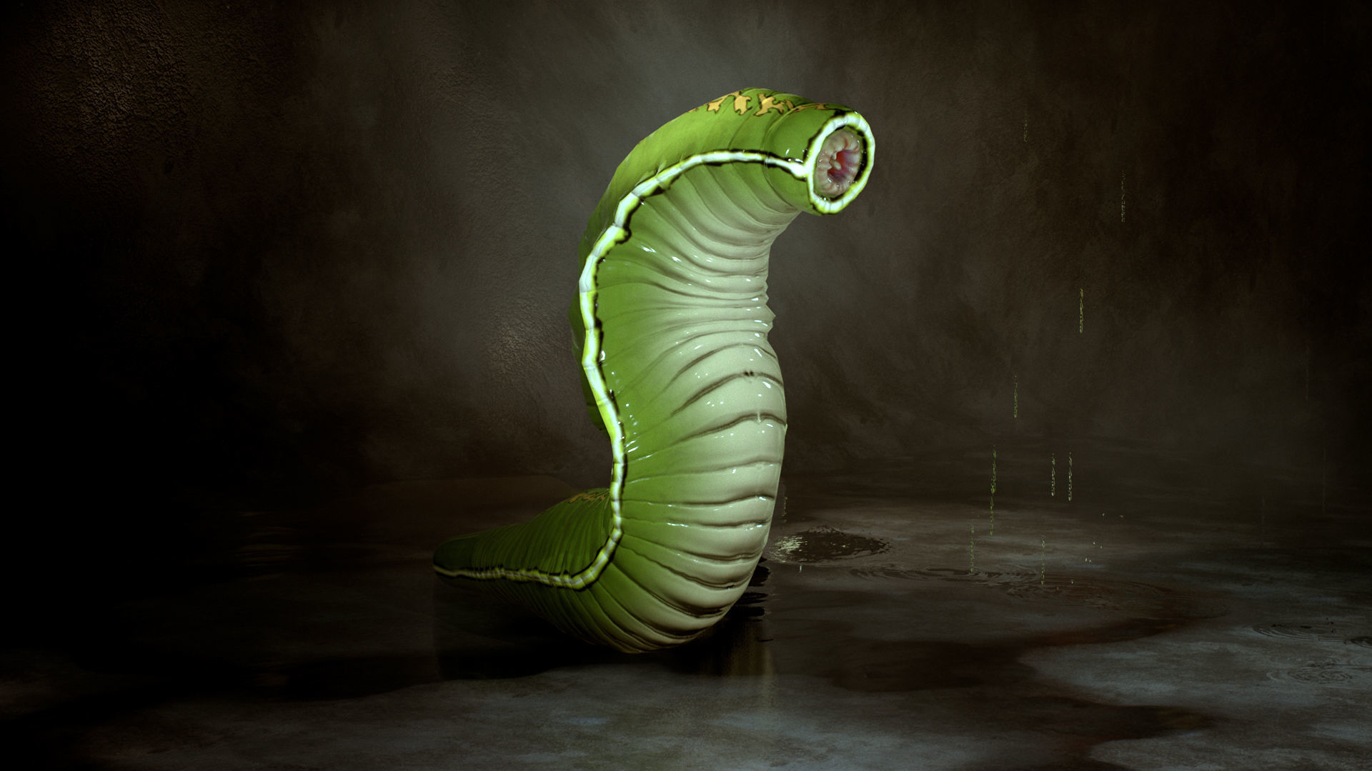 Heavy Leech Low-poly 3D model_3