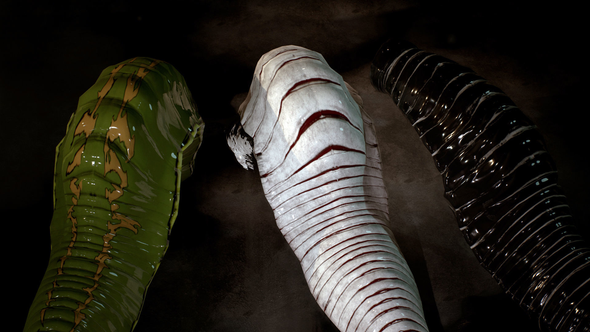 Heavy Leech Low-poly 3D model_6