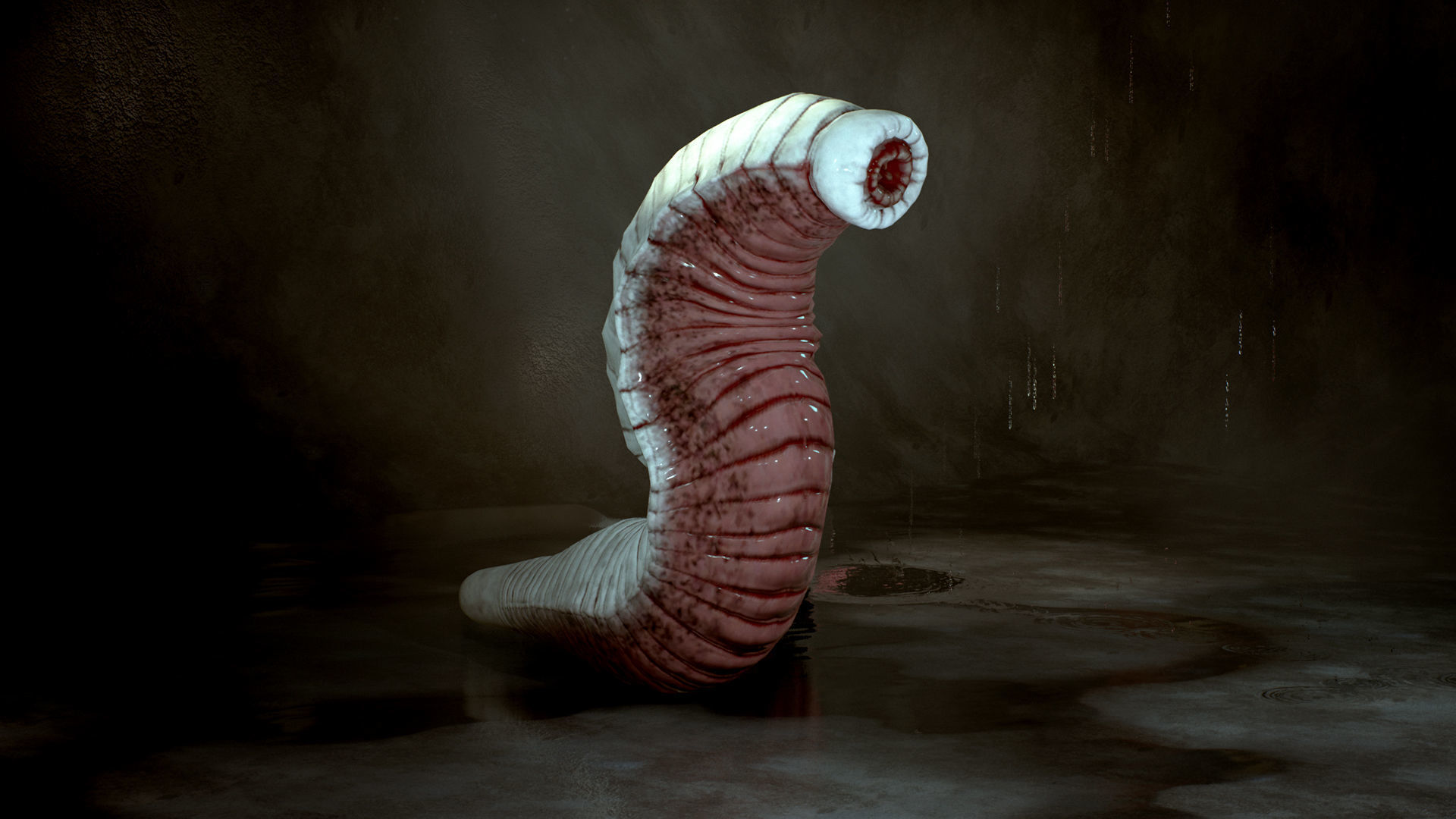 Heavy Leech Low-poly 3D model_4