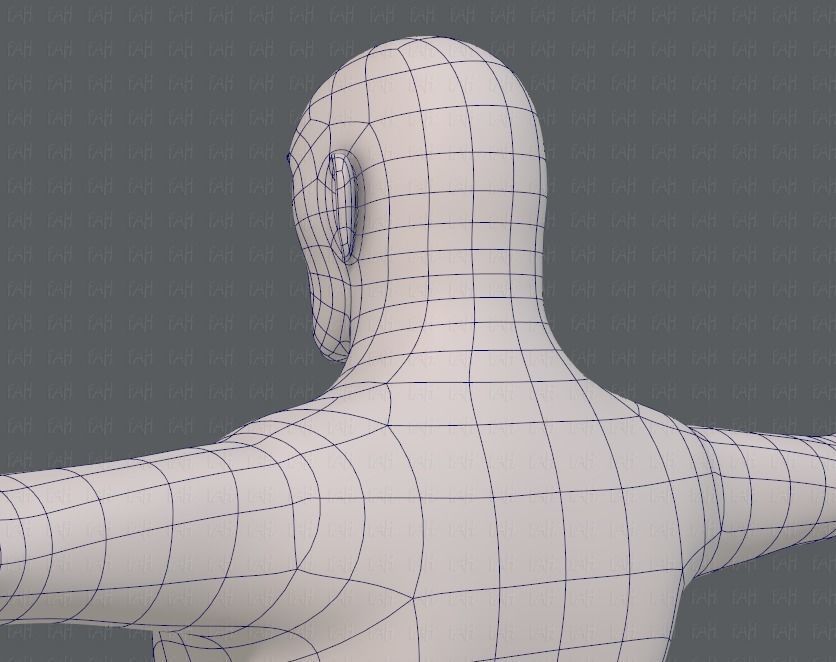 Base mesh man character V12 Low-poly 3D model_30