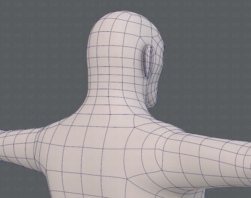 Base mesh man character V12 Low-poly 3D model_28