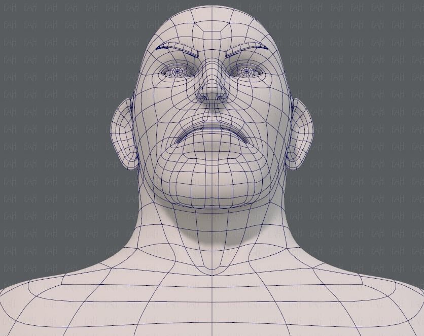 Base mesh man character V12 Low-poly 3D model_44