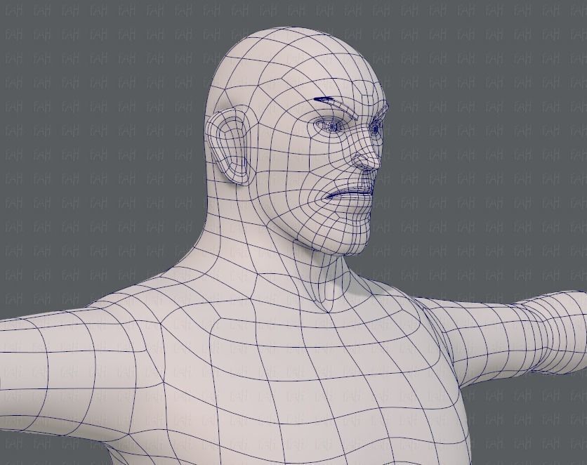 Base mesh man character V12 Low-poly 3D model_26