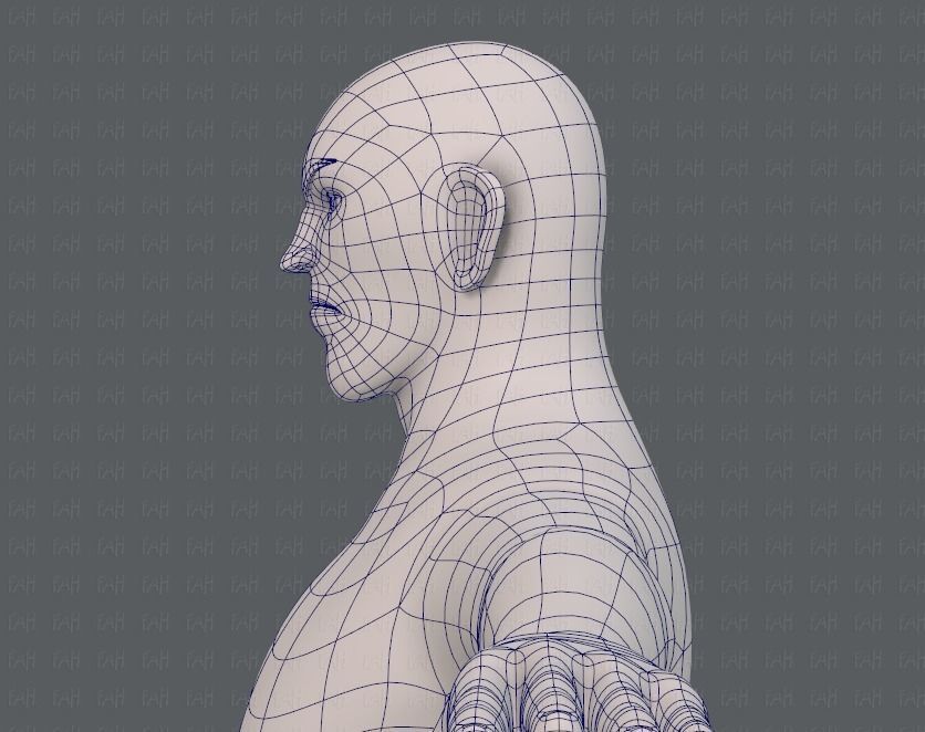 Base mesh man character V12 Low-poly 3D model_31