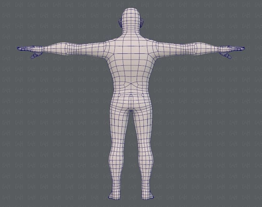 Base mesh man character V12 Low-poly 3D model_13