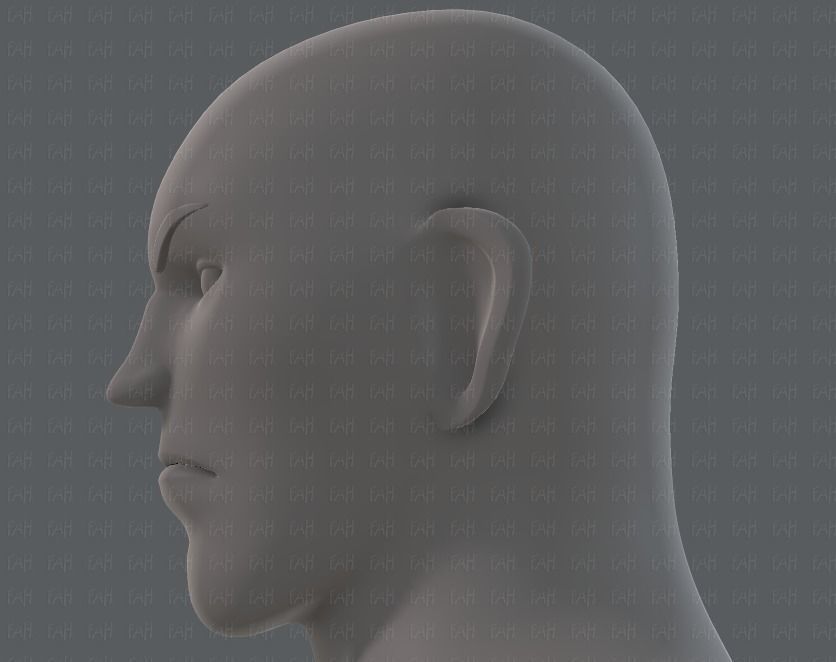 Base mesh man character V12 Low-poly 3D model_39