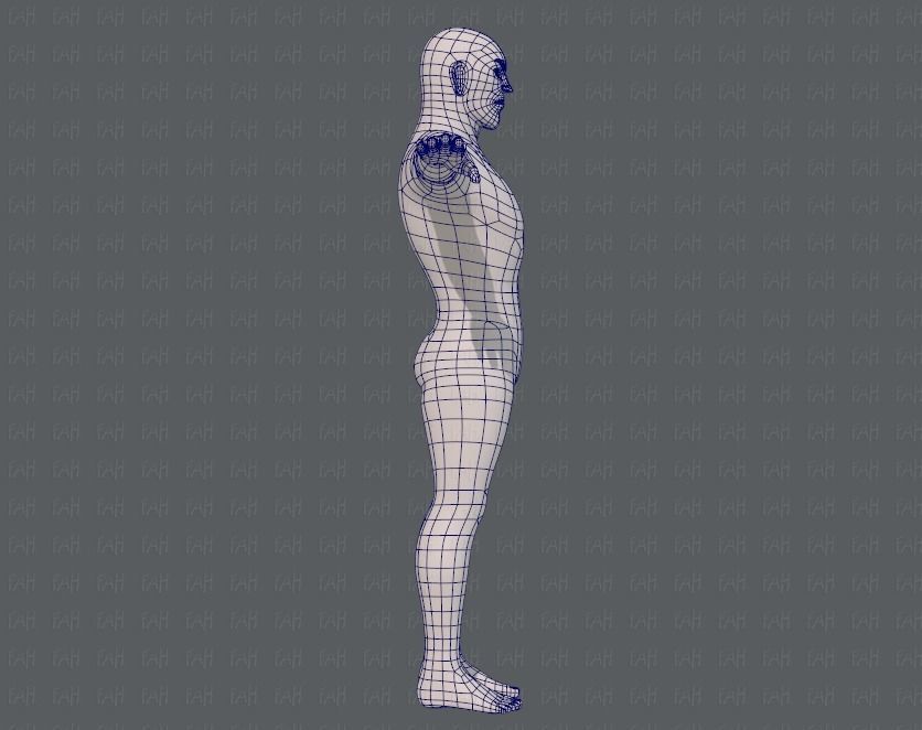 Base mesh man character V12 Low-poly 3D model_11