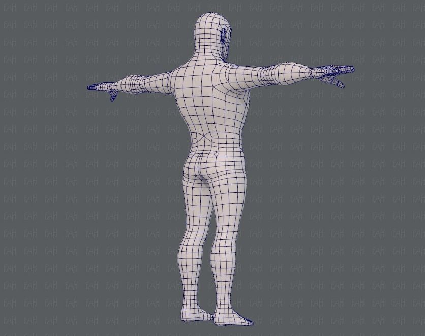 Base mesh man character V12 Low-poly 3D model_12