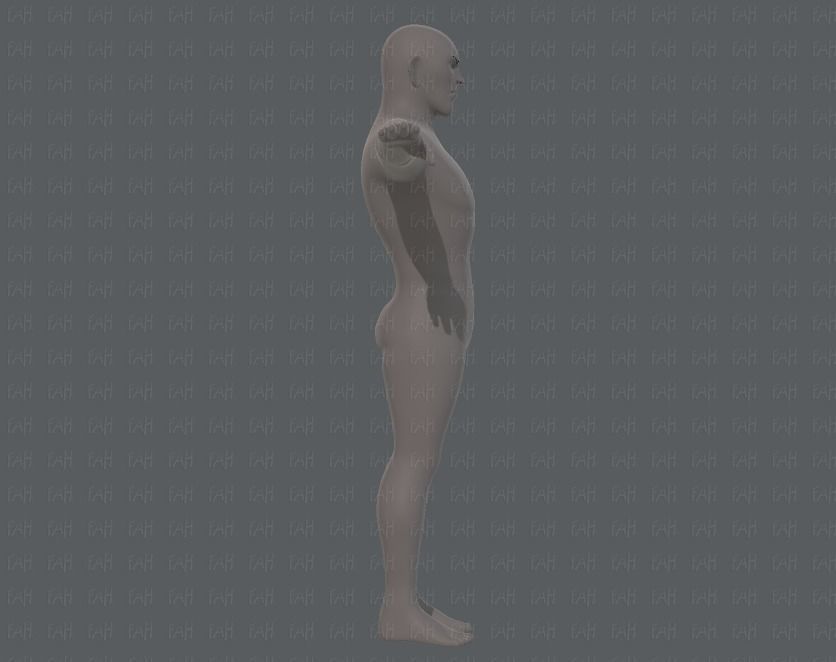 Base mesh man character V12 Low-poly 3D model_3