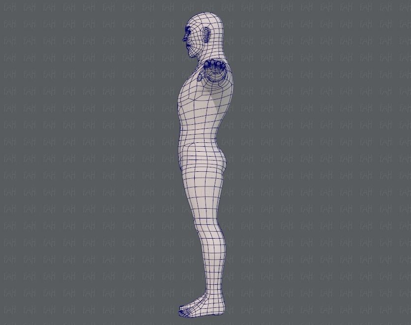 Base mesh man character V12 Low-poly 3D model_15