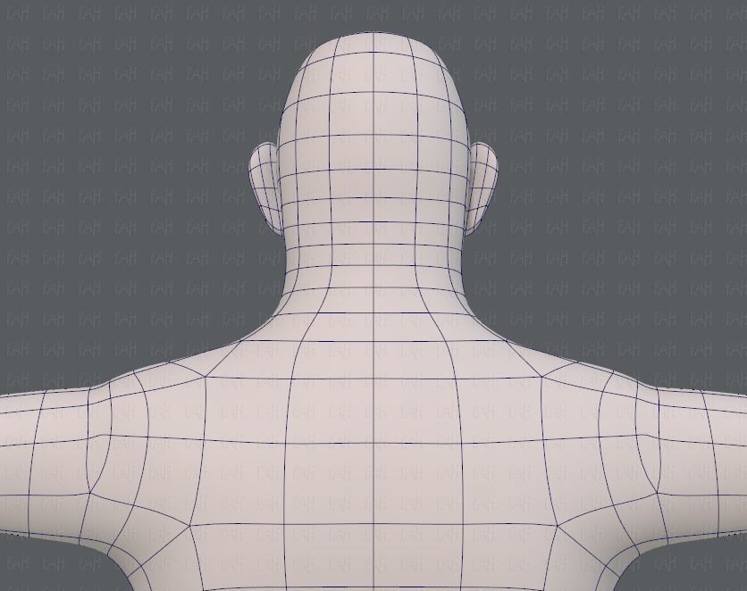 Base mesh man character V12 Low-poly 3D model_29