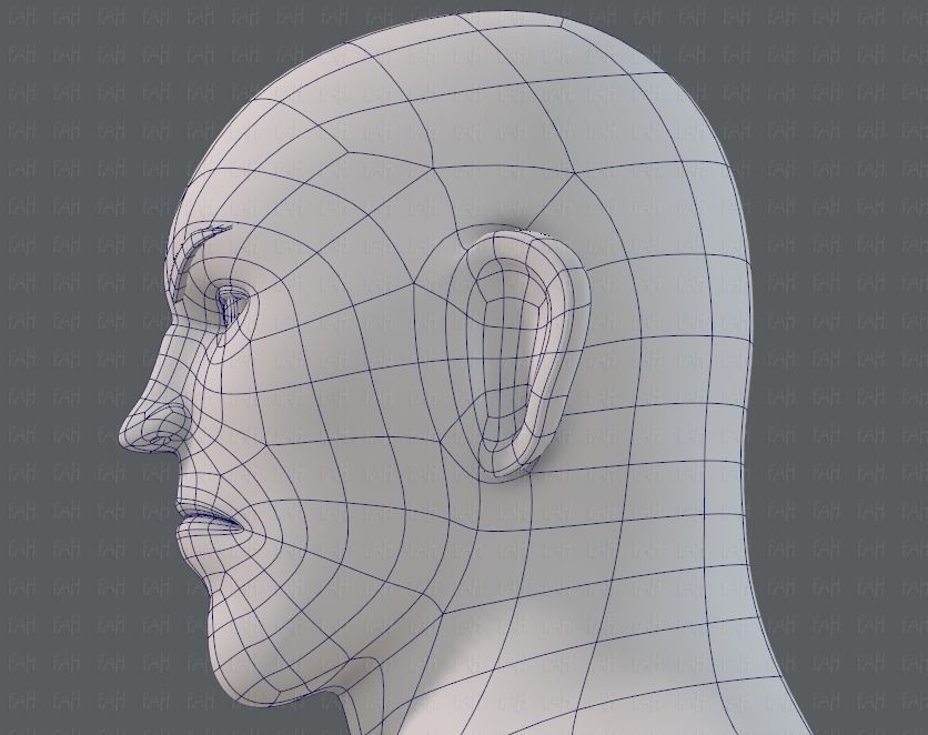 Base mesh man character V12 Low-poly 3D model_40