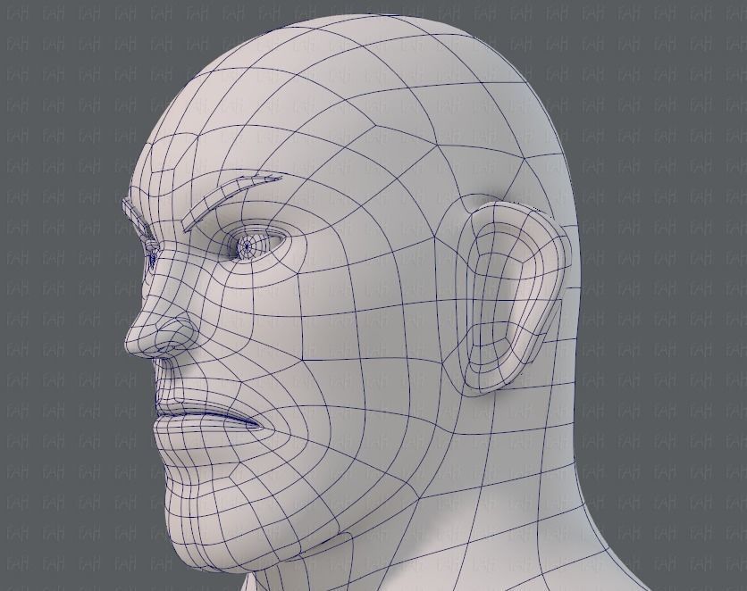 Base mesh man character V12 Low-poly 3D model_38