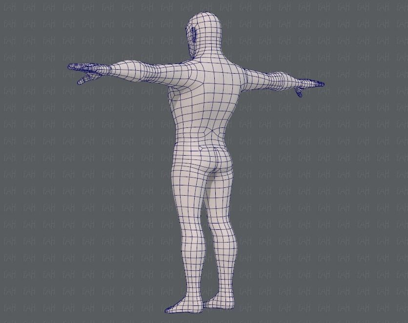 Base mesh man character V12 Low-poly 3D model_14