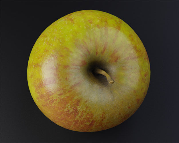 Coxs Orange Pippin apple low-poly 3D model Low-poly 3D model_4