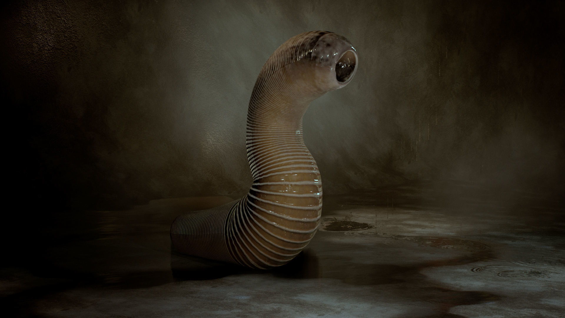 Leeches snake Low-poly 3D model_3