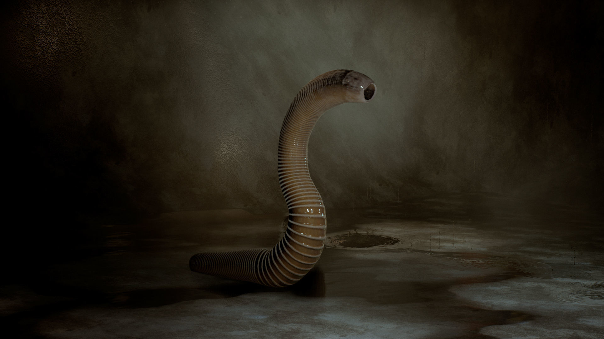 Leeches snake Low-poly 3D model_4