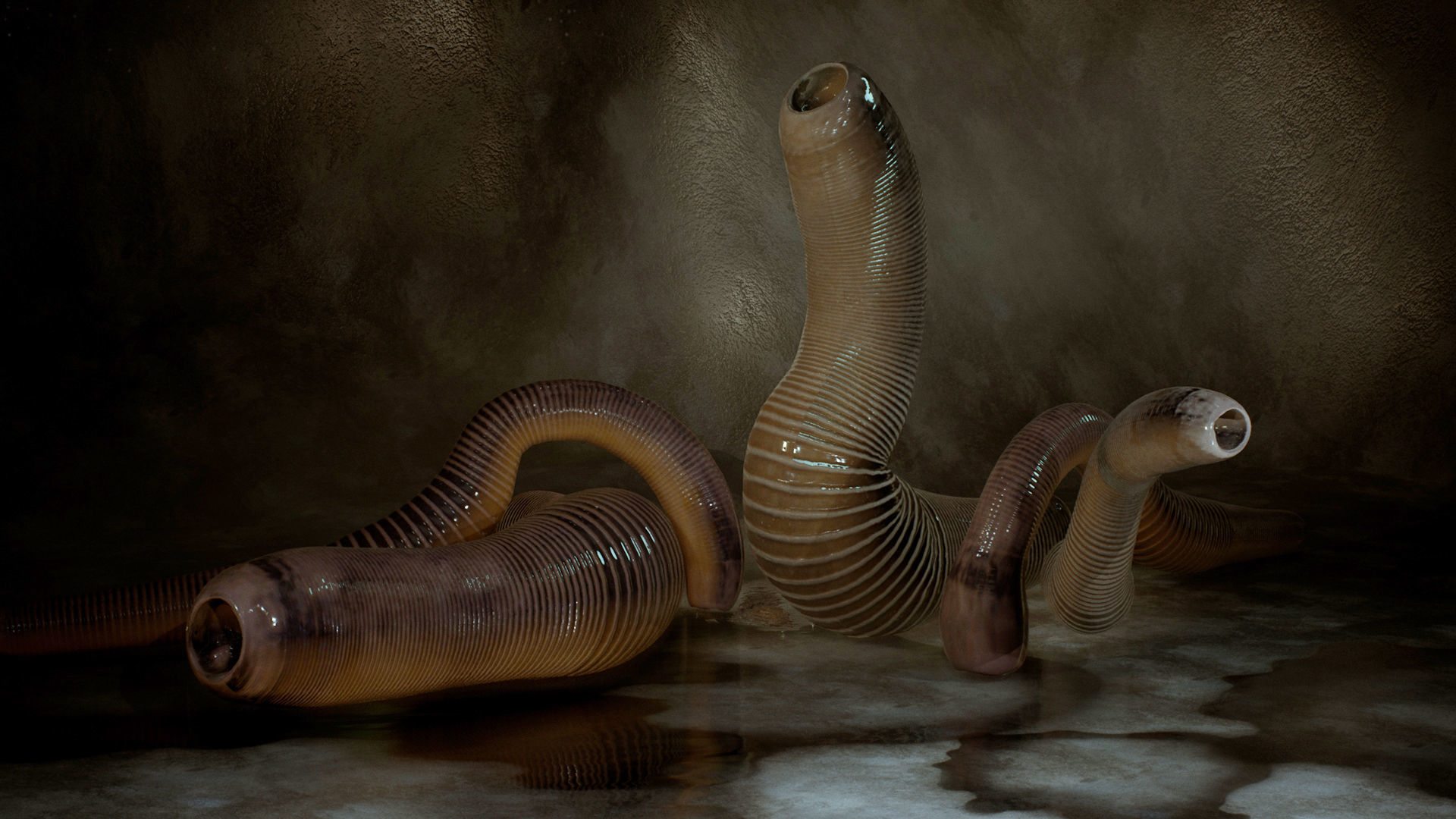 Leeches snake Low-poly 3D model_2