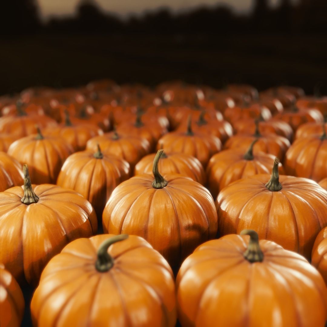 Halloween pumpkins and other stuff Low-poly 3D model_1