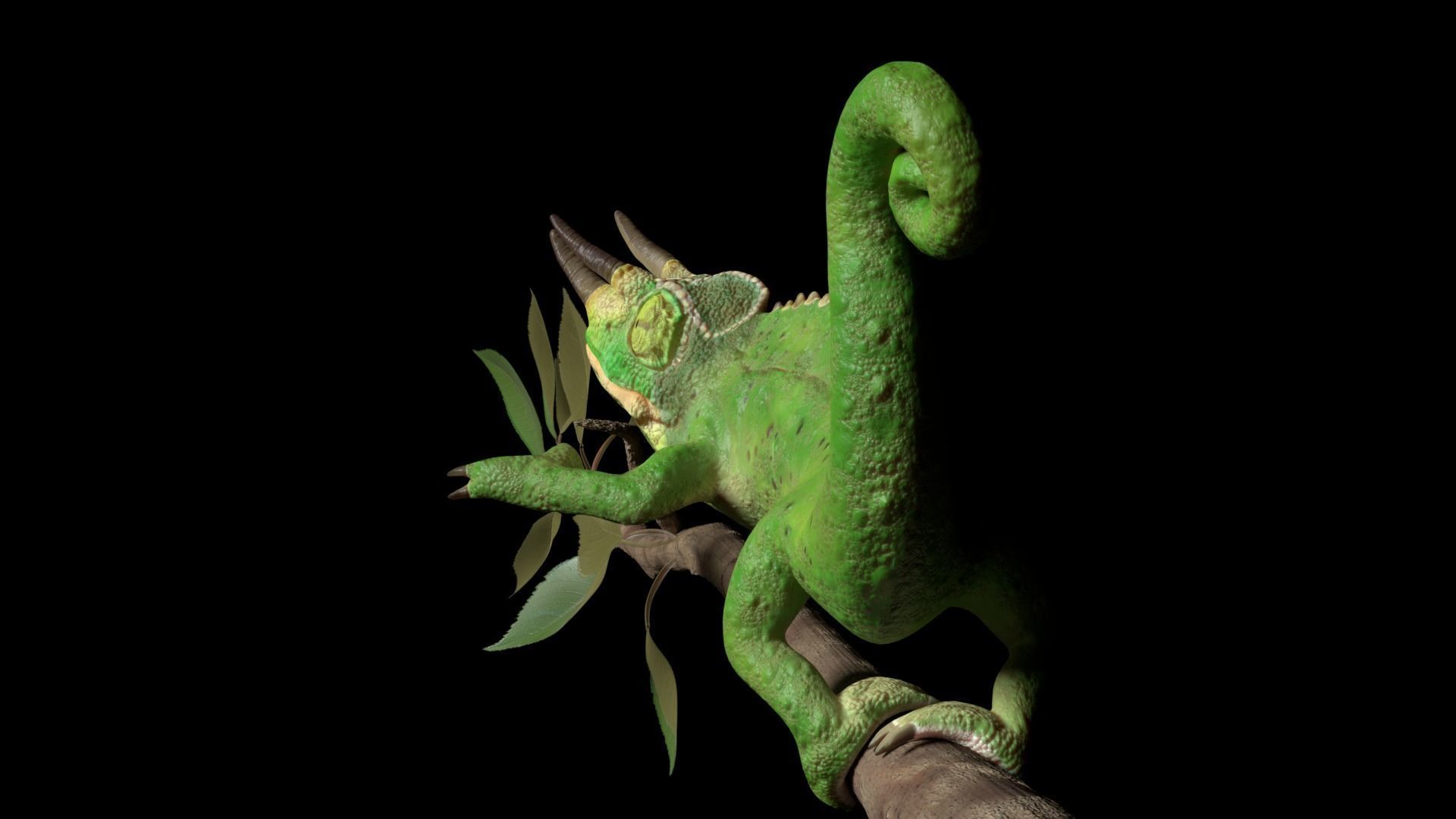Jackson Chameleon 3D model_4
