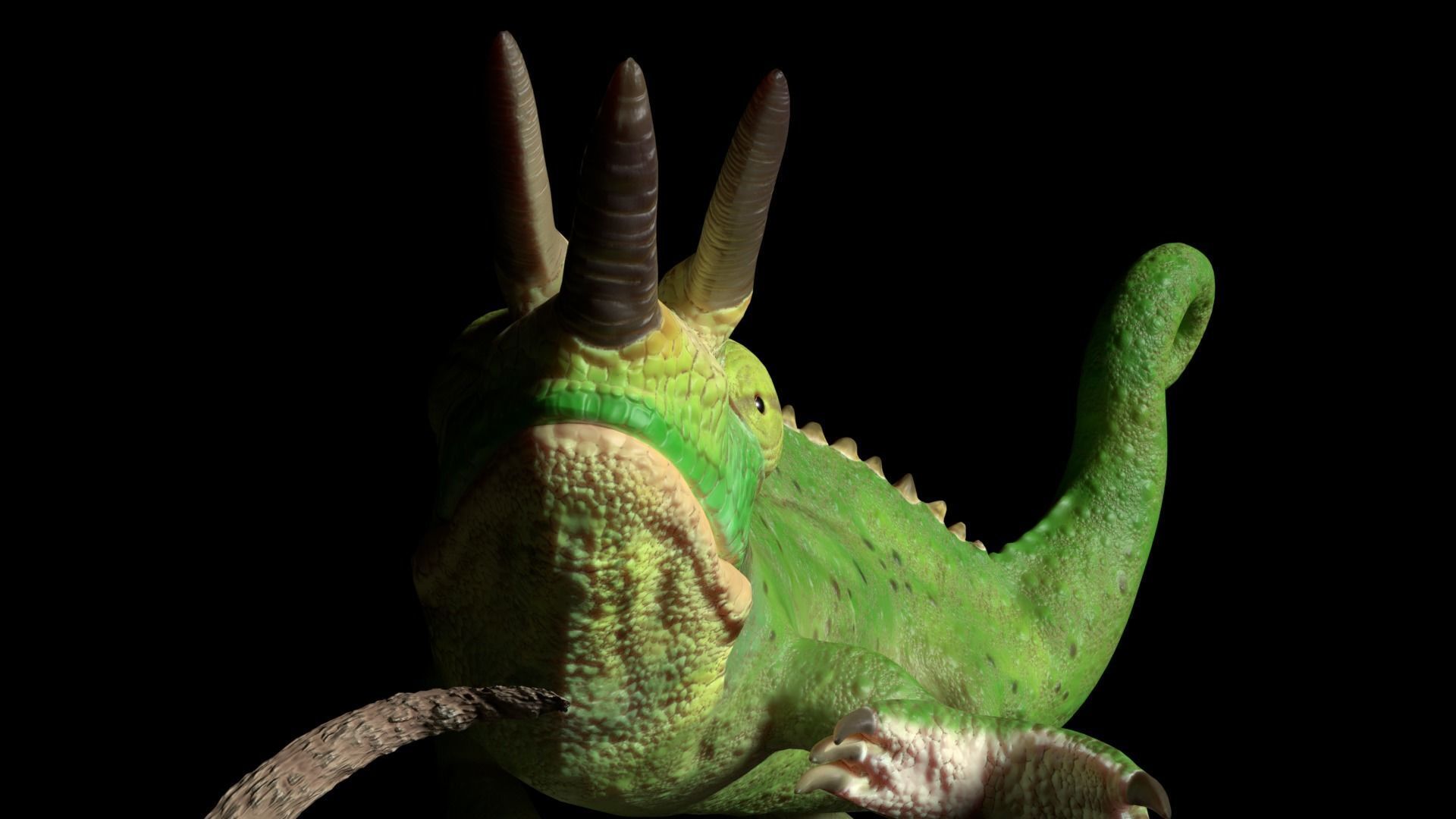 Jackson Chameleon 3D model_2