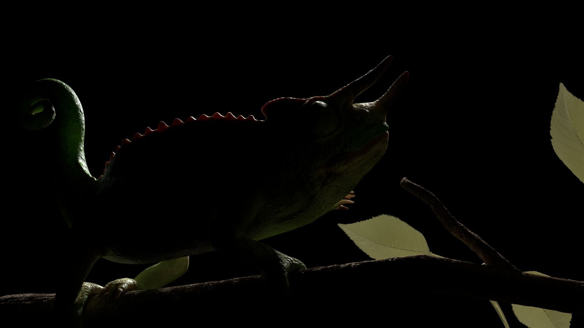 Jackson Chameleon 3D model_3