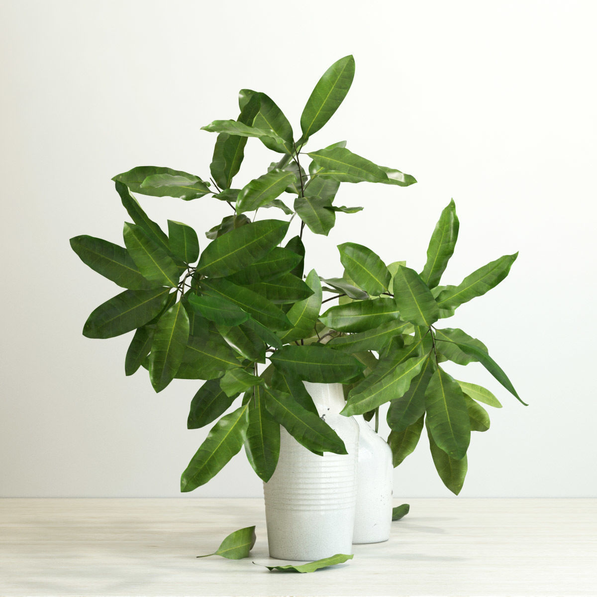 branches in a vase 3D model_4