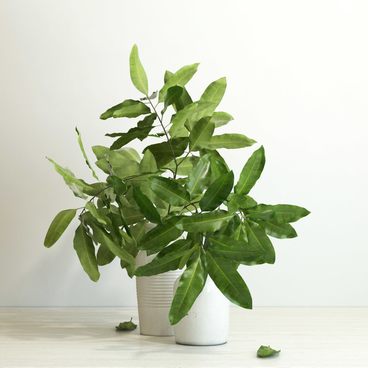 branches in a vase 3D model_8