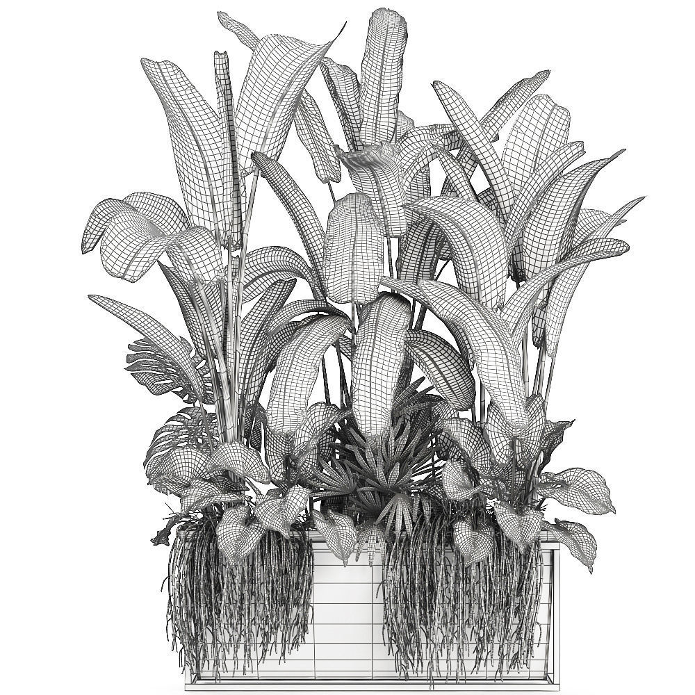 Collection Exotic plants 3D model_10