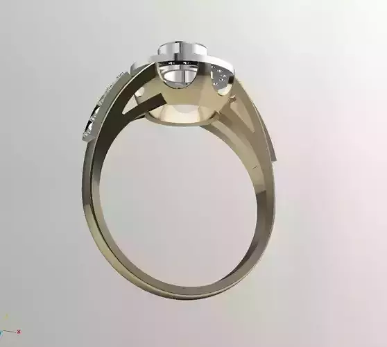 Ring 0001
