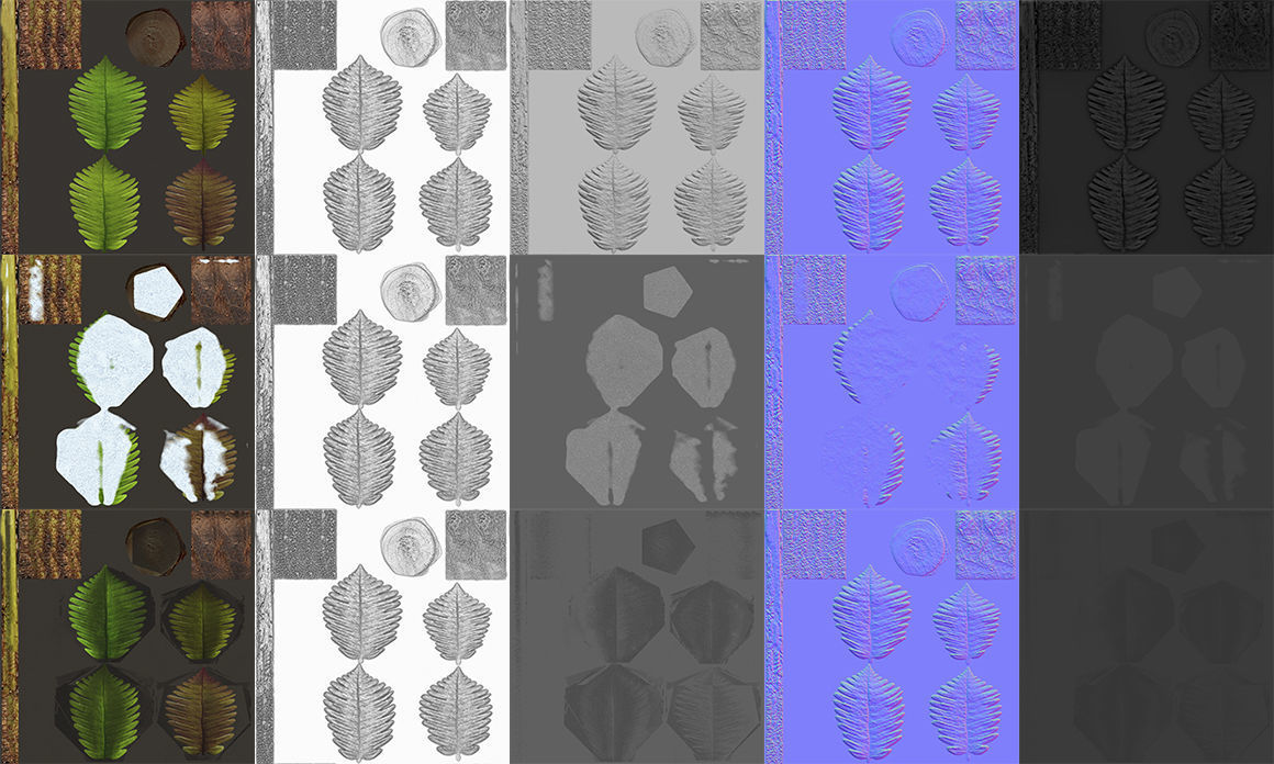 Alsophila fern old Low-poly 3D model_17