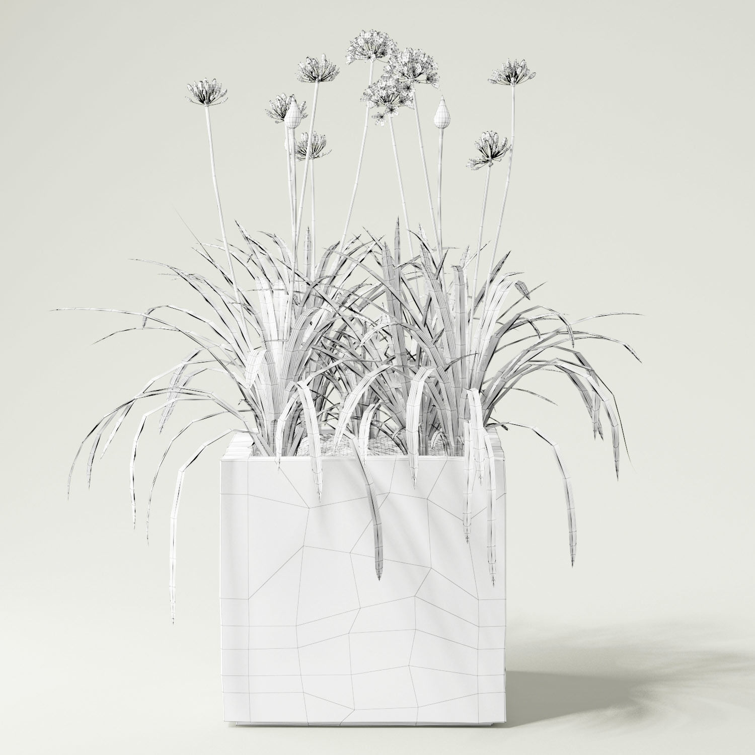 agapanthus concrete planter with flowers 3D model_5